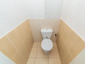 Pronájem bytu 2+1, Mladá Boleslav, U stadionu, 58 m2