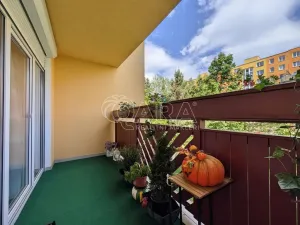 Prodej bytu 4+1, Plzeň - Bolevec, Kaznějovská, 92 m2