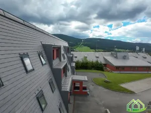 Prodej apartmánu, Ostružná - Ramzová, 60 m2