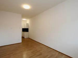 Pronájem bytu 1+kk, Pardubice - Rosice, generála Svobody, 22 m2