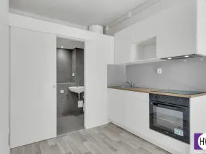 Prodej bytu 1+kk, Praha, Husitská, 30 m2