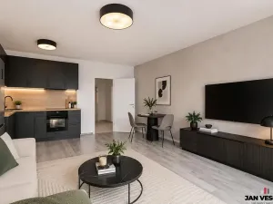 Prodej bytu 1+kk, Plzeň, Železná, 32 m2