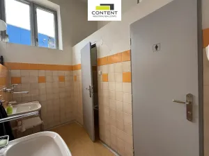Pronájem skladu, Plzeň - Doubravka, Hřbitovní, 730 m2