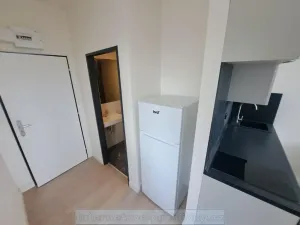 Pronájem bytu 1+kk, Praha - Vysočany, 30 m2