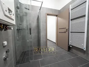 Pronájem bytu 3+kk, Teplice, Pražská, 44 m2