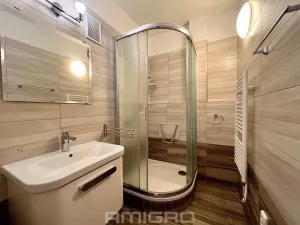 Pronájem bytu 3+1, Mokrá-Horákov, 72 m2