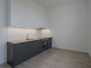 Prodej bytu 1+1, Havířov, Kosmonautů, 35 m2