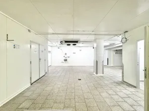 Pronájem skladu, Brno, U vlečky, 152 m2