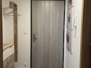 Pronájem bytu 2+kk, Plzeň - Východní Předměstí, Pallova, 46 m2