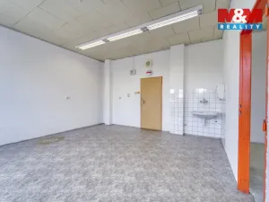 Pronájem kanceláře, Nepomuk, Na Vinici III., 60 m2