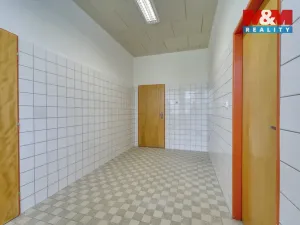 Pronájem kanceláře, Nepomuk, Na Vinici III., 60 m2