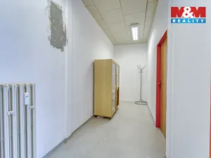 Pronájem obchodního prostoru, Nepomuk, Na Vinici III., 39 m2