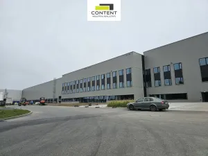 Pronájem výrobních prostor, Ostrava - Hrušov, Orlovská, 10000 m2