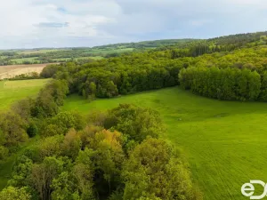 Prodej rodinného domu, Kravaře - Veliká, 500 m2