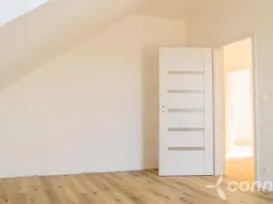 Prodej vícegeneračního domu, Klenovice, 286 m2