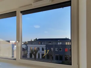 Pronájem bytu 1+kk, Olomouc - Hodolany, Elišky Krásnohorské, 45 m2