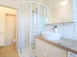 Pronájem bytu 2+1, České Budějovice - České Budějovice 7, Roudenská, 53 m2
