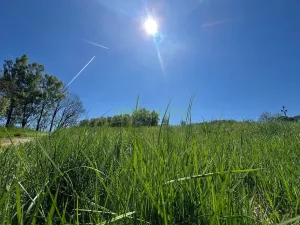Prodej pozemku pro bydlení, Jiřetín pod Jedlovou, 40342 m2