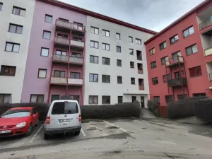 Prodej bytu 1+kk, Vyškov - Vyškov-Předměstí, Smetanovo nábřeží, 59 m2