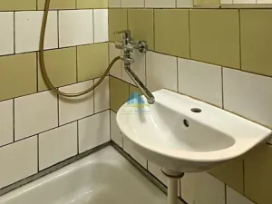 Prodej bytu 1+1, Plesná, Světlá, 35 m2