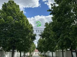Prodej bytu 3+1, Oslavany, Moravská, 80 m2