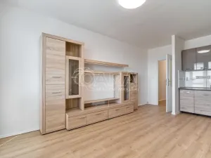 Pronájem bytu 1+kk, Ostrava - Moravská Ostrava, 30. dubna, 26 m2