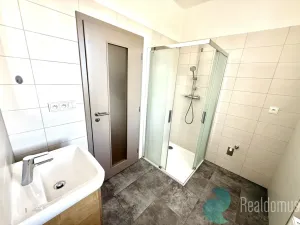 Pronájem bytu 1+1, České Budějovice - České Budějovice 5, Prašná, 28 m2