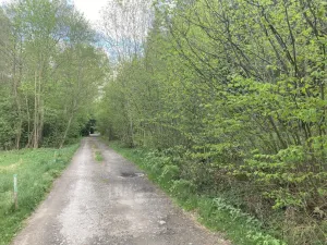 Prodej chaty, Prachatice - Prachatice II, Krumlovská, 50 m2
