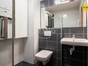 Pronájem bytu 1+kk, Jihlava, Halasova, 43 m2