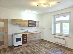 Pronájem bytu 1+1, České Budějovice - České Budějovice 3, Pekárenská, 51 m2