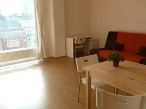 Pronájem bytu 1+kk, Brno, Božetěchova, 34 m2