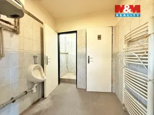Prodej obchodního prostoru, Lysá nad Labem, 317 m2