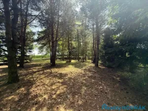 Prodej pozemku pro bydlení, Katovice, 3304 m2