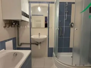Pronájem bytu 3+1, Planá, nám. Svobody, 105 m2
