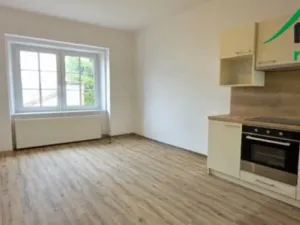 Pronájem bytu 3+1, Planá, nám. Svobody, 105 m2