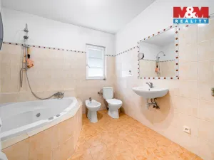 Pronájem komerční nemovitosti, Nová Role - Mezirolí, 795 m2