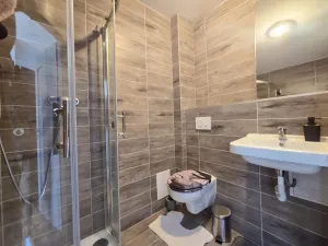 Pronájem bytu 1+1, Teplice, Duchcovská, 48 m2