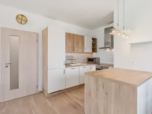 Prodej bytu 3+kk, Praha - Žižkov, Olšanská, 111 m2