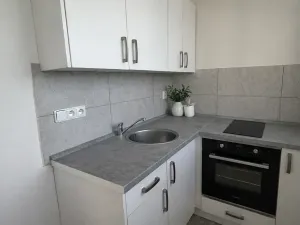 Pronájem bytu 1+1, Litvínov, Studentská, 32 m2