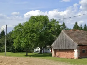 Prodej chalupy, Bílý Újezd - Roudné, 90 m2