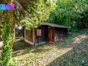 Prodej apartmánu, Hranice - Hranice VIII-Středolesí, 4586 m2