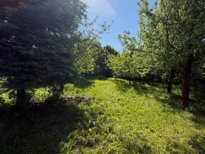Prodej chaty, Kostelec u Holešova, 17 m2