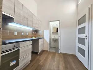 Pronájem bytu 1+1, Praha - Vinohrady, Mánesova, 28 m2