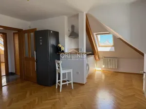 Pronájem bytu 1+1, Chomutov, Holečkova, 57 m2