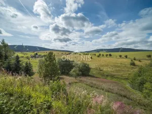 Prodej chalupy, Loučná pod Klínovcem - Háj, 380 m2