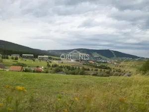 Prodej chalupy, Loučná pod Klínovcem - Háj, 380 m2