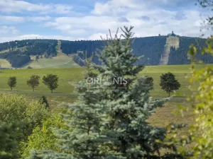 Prodej chalupy, Loučná pod Klínovcem - Háj, 380 m2