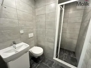 Pronájem bytu 1+1, Duchcov, Osecká, 36 m2