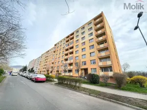 Pronájem bytu 1+1, Duchcov, Osecká, 36 m2