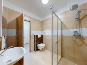 Pronájem bytu 1+kk, Senožaty, 31 m2